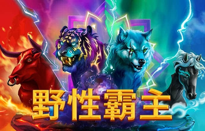银河5144官网